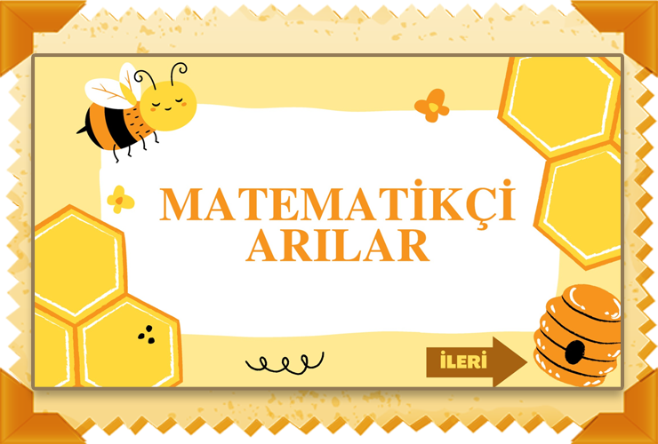 Matematikçi Arılar