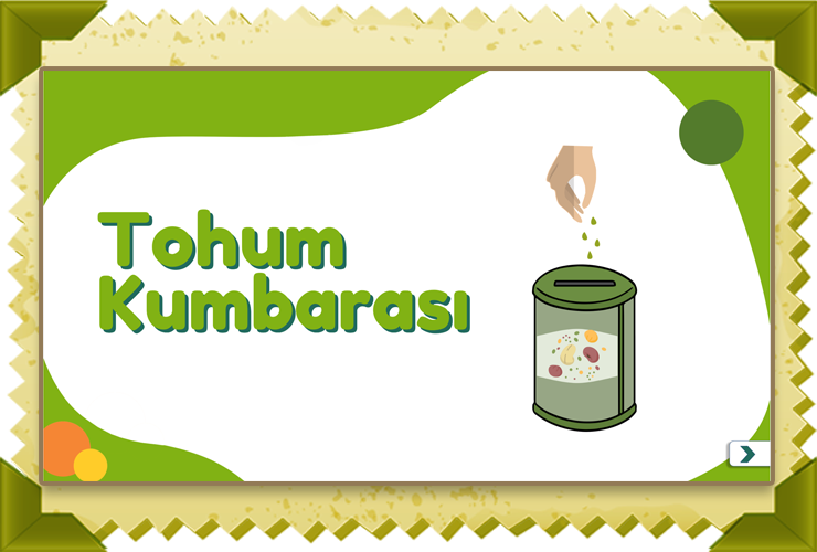 Tohum Kumbarası